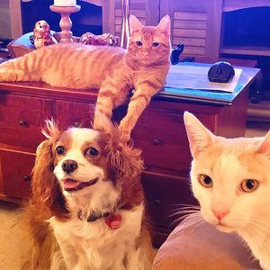 Meet your Posher, Vanessa